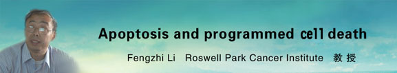 Apoptosis and Programmed Cell death