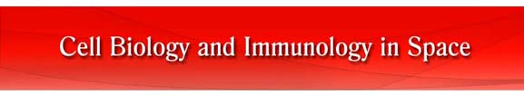 Cell Biology and Immunology in Space 