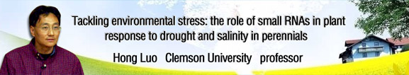 Tackling environmental stress: the role of small RNAs in plant response to drought and salinity in perennials